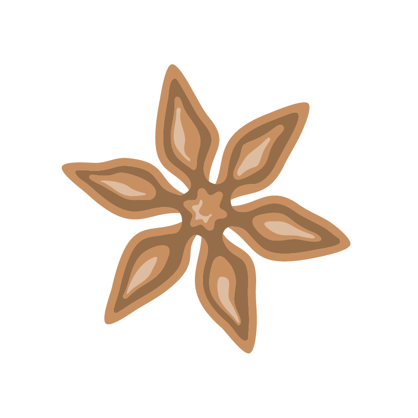 Illustration Sternanis